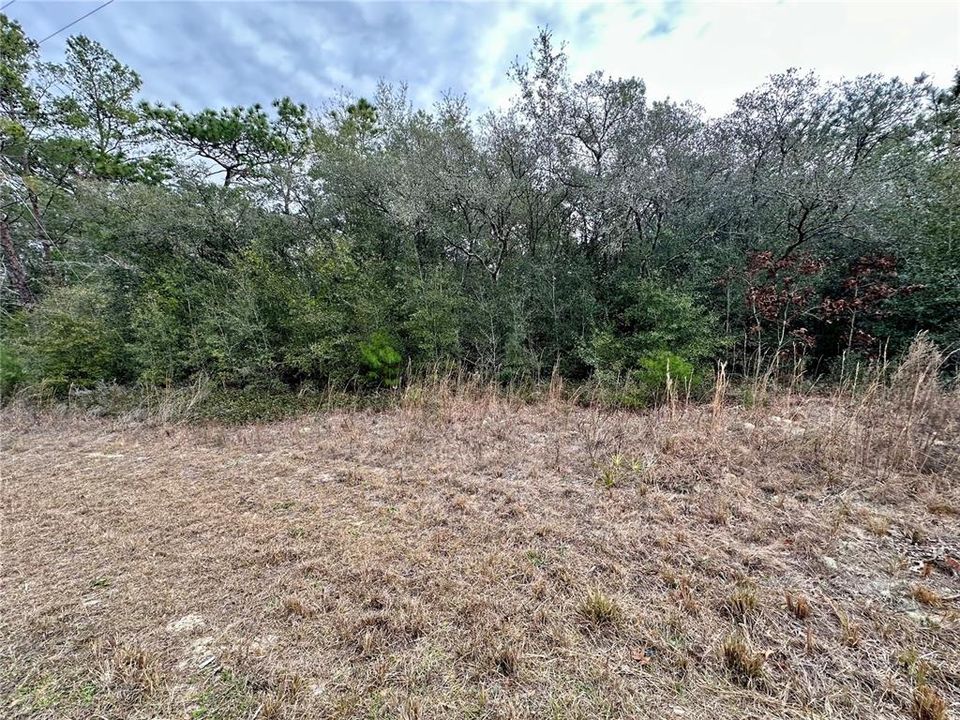 На продажу: $17,000 (0.23 acres)