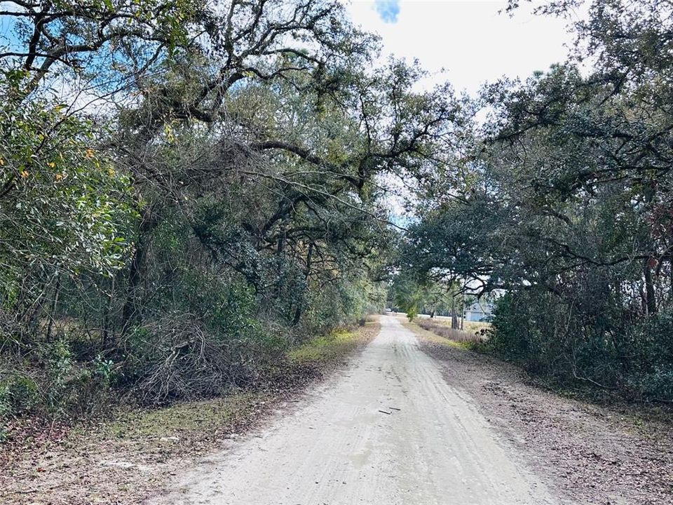 En Venta: $14,900 (0.46 acres)