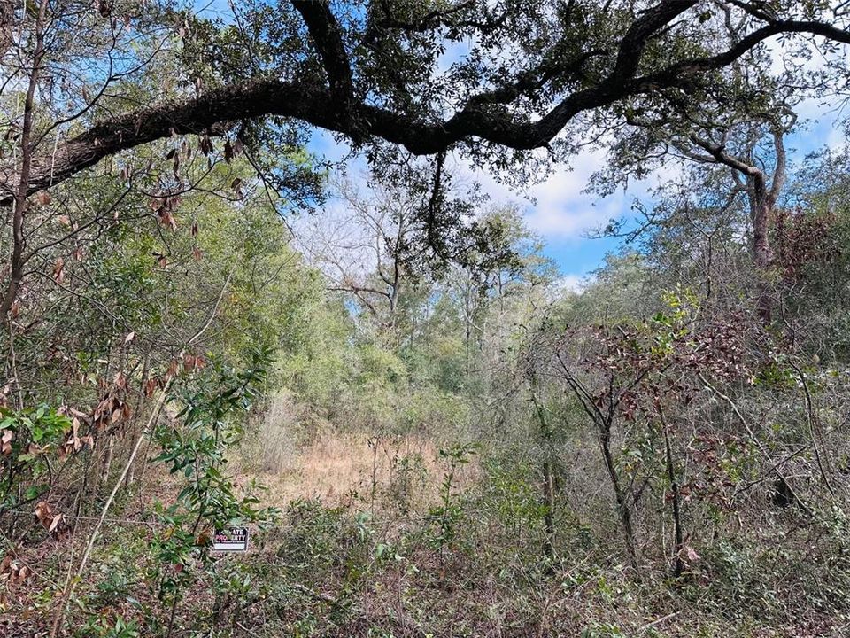 En Venta: $14,900 (0.46 acres)