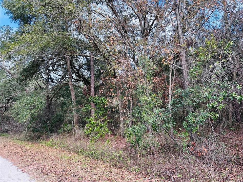 En Venta: $14,900 (0.46 acres)