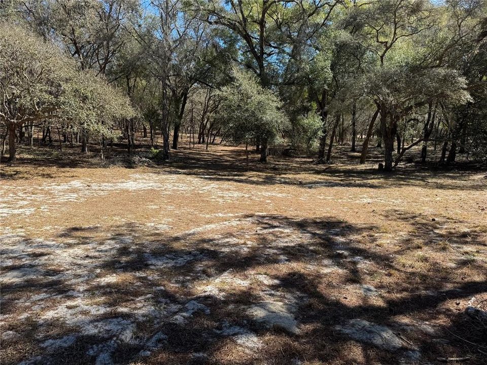 For Sale: $325,000 (10.00 acres)