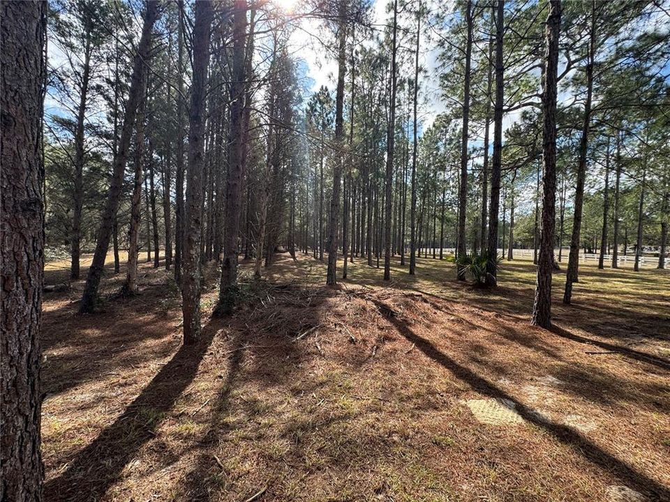 For Sale: $325,000 (10.00 acres)