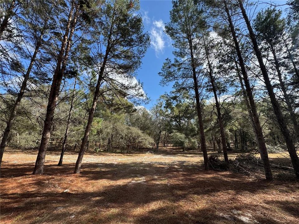 For Sale: $325,000 (10.00 acres)