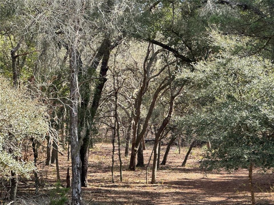 For Sale: $325,000 (10.00 acres)