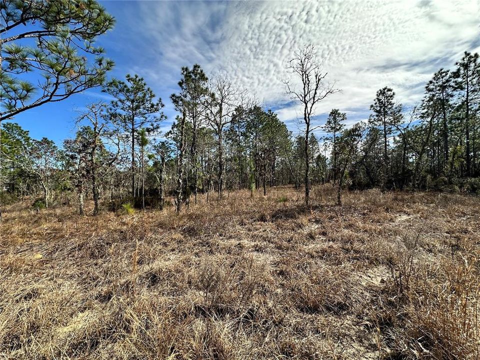 待售: $9,900 (0.23 acres)