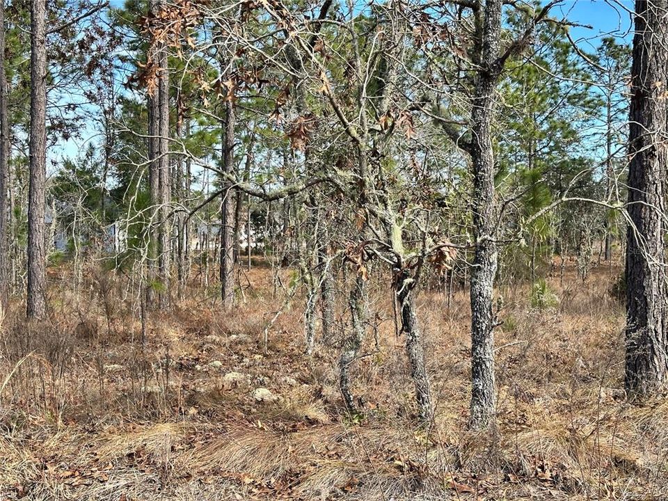 待售: $9,900 (0.23 acres)