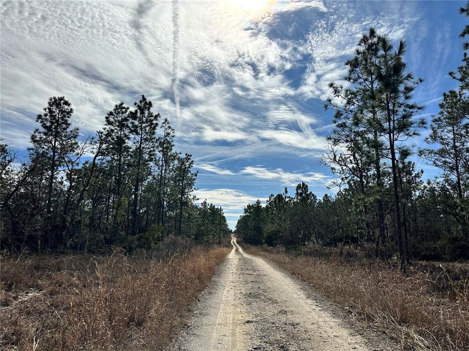 待售: $9,900 (0.23 acres)
