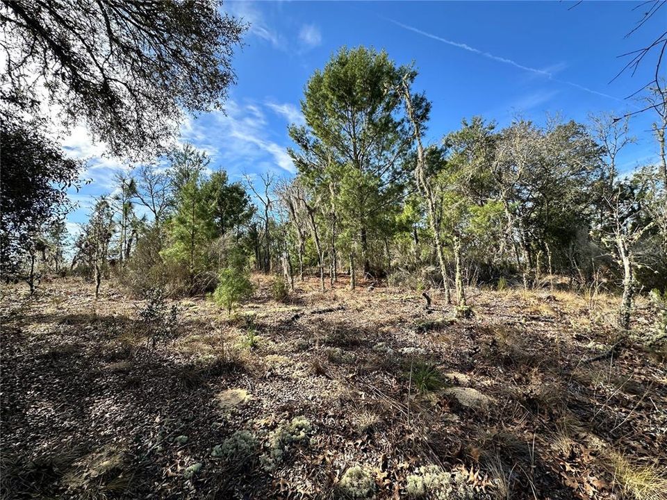 На продажу: $9,900 (0.23 acres)