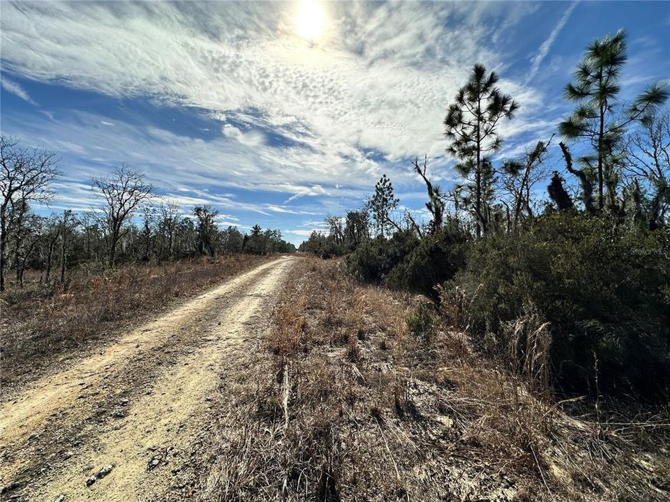 待售: $9,900 (0.23 acres)
