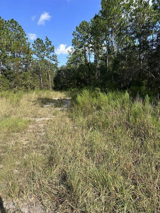 En Venta: $6,000 (0.09 acres)