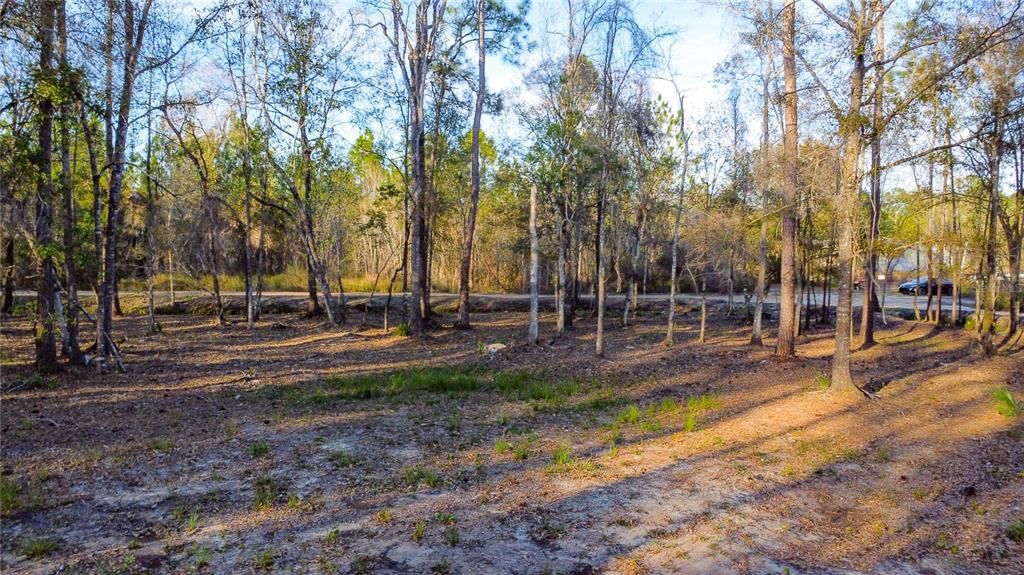 En Venta: $220,000 (4.24 acres)