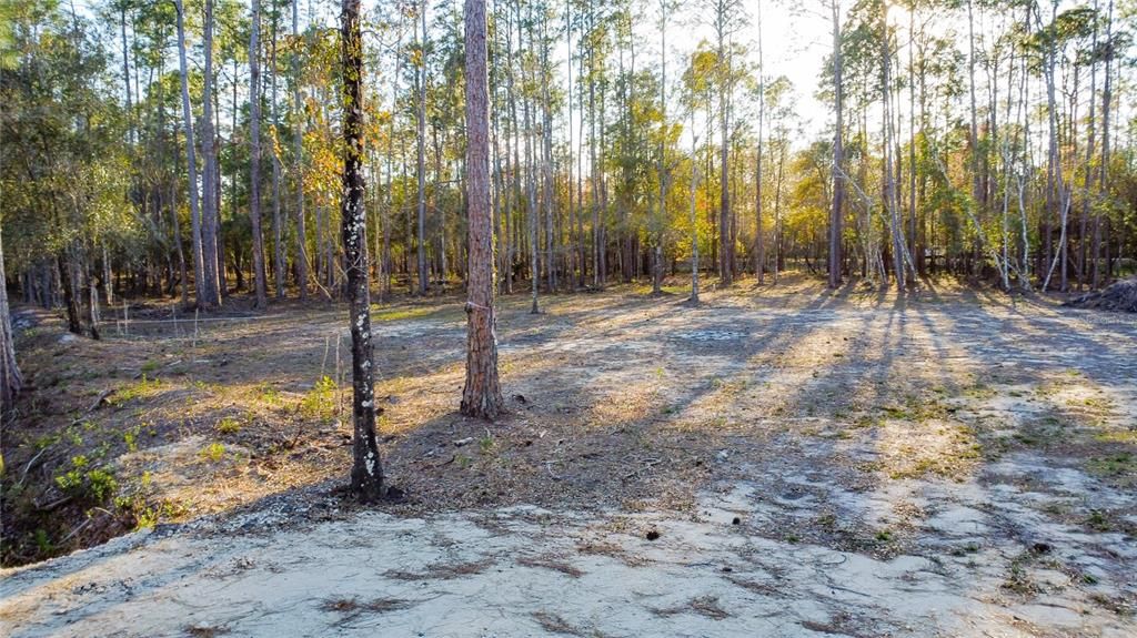 En Venta: $220,000 (4.24 acres)