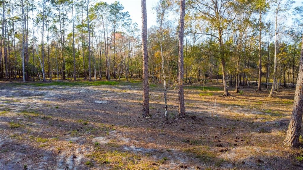 En Venta: $220,000 (4.24 acres)