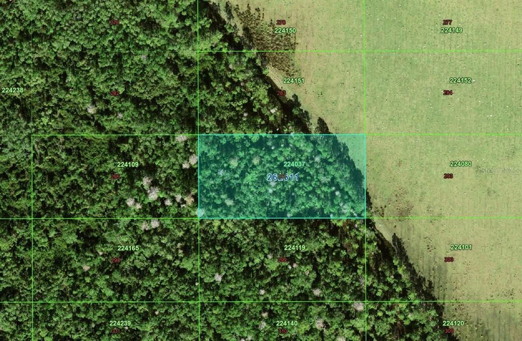 En Venta: $49,900 (1.25 acres)