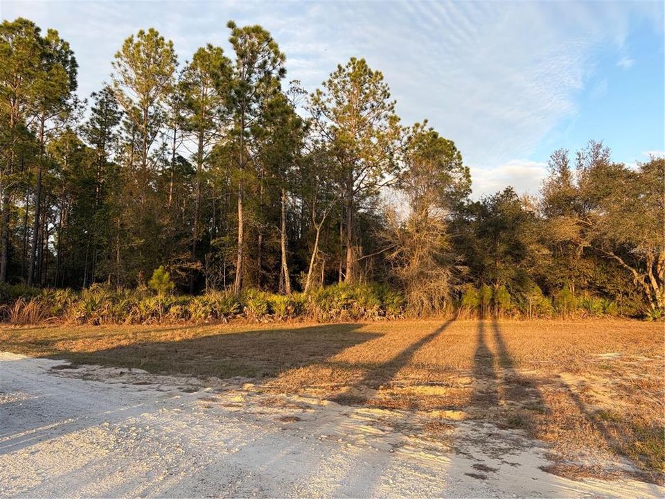 En Venta: $130,000 (1.25 acres)