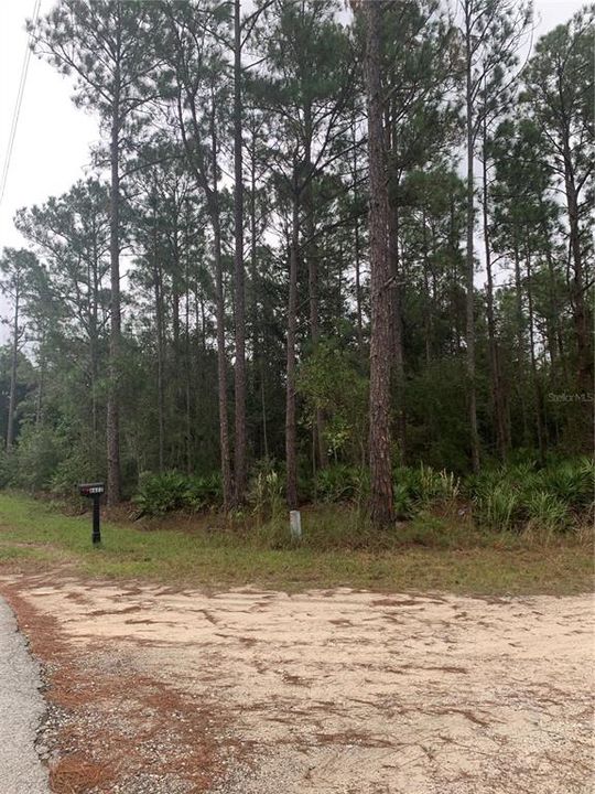 En Venta: $130,000 (1.25 acres)