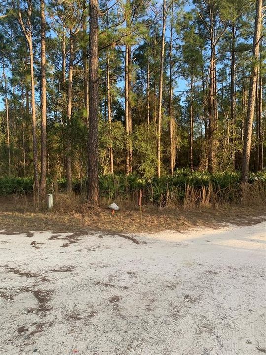 En Venta: $130,000 (1.25 acres)
