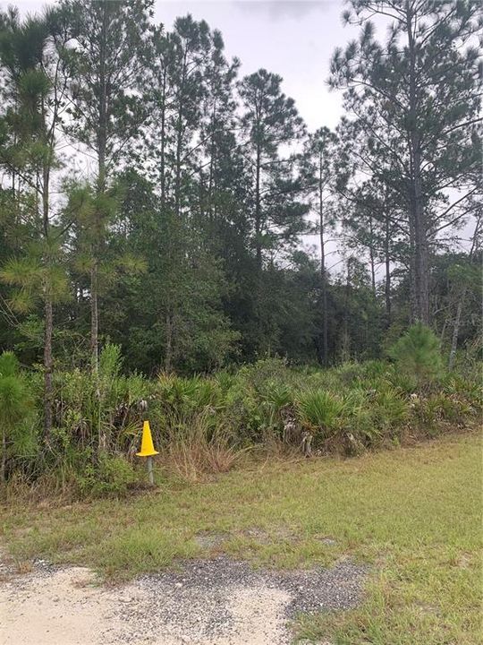 En Venta: $130,000 (1.25 acres)