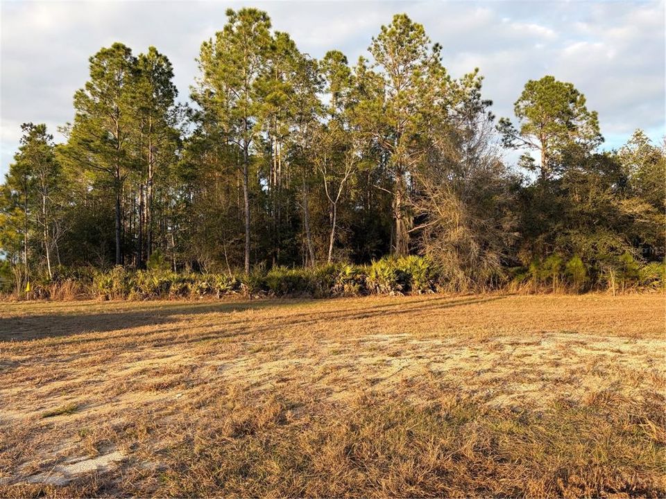 En Venta: $130,000 (1.25 acres)