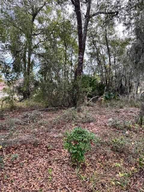 待售: $150,000 (3.40 acres)