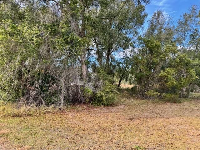待售: $150,000 (3.40 acres)