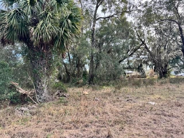 待售: $150,000 (3.40 acres)