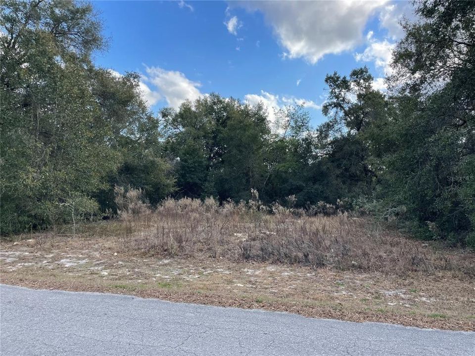 待售: $12,500 (0.19 acres)