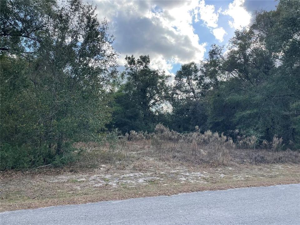 待售: $12,500 (0.19 acres)