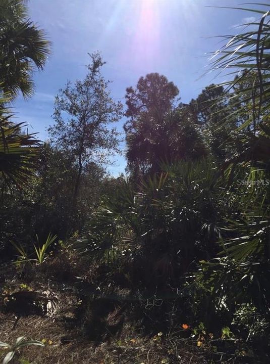 Activo con contrato: $15,000 (0.23 acres)