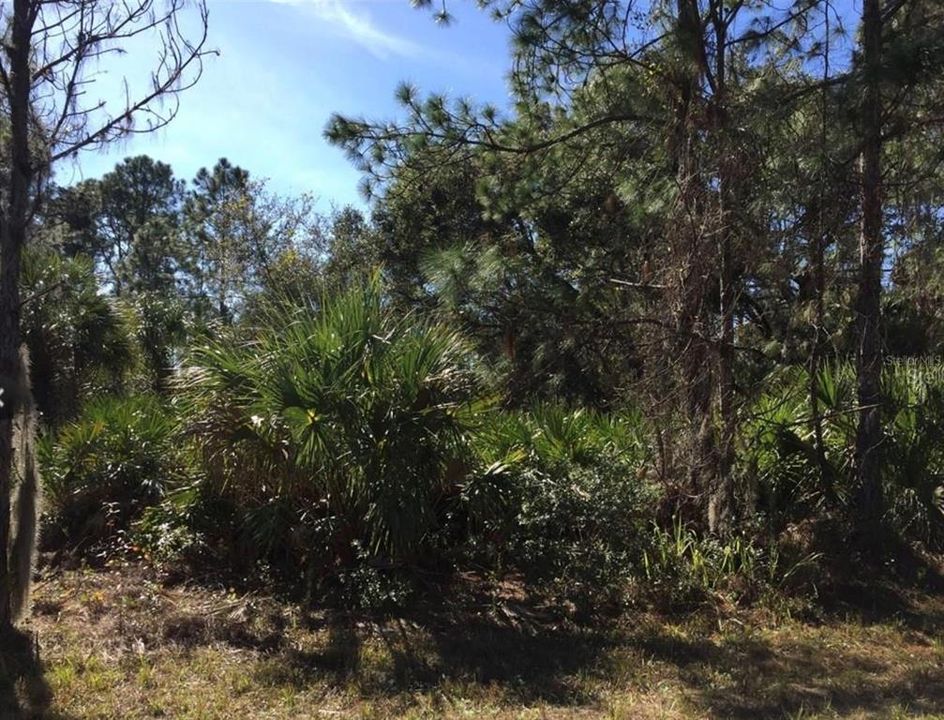 Activo con contrato: $15,000 (0.23 acres)