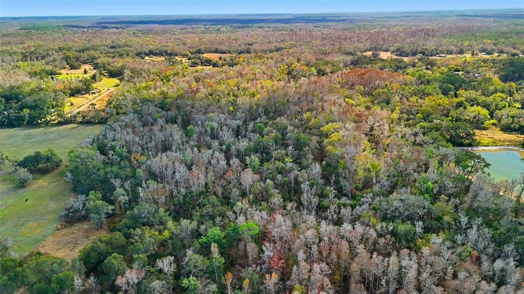 待售: $200,000 (14.10 acres)