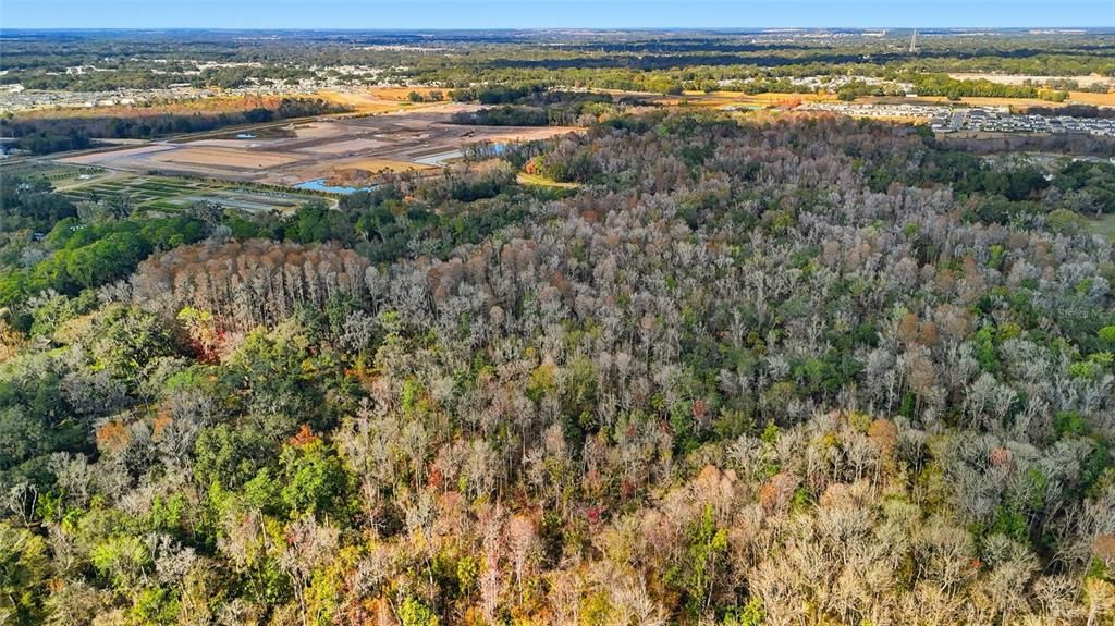 待售: $200,000 (14.10 acres)
