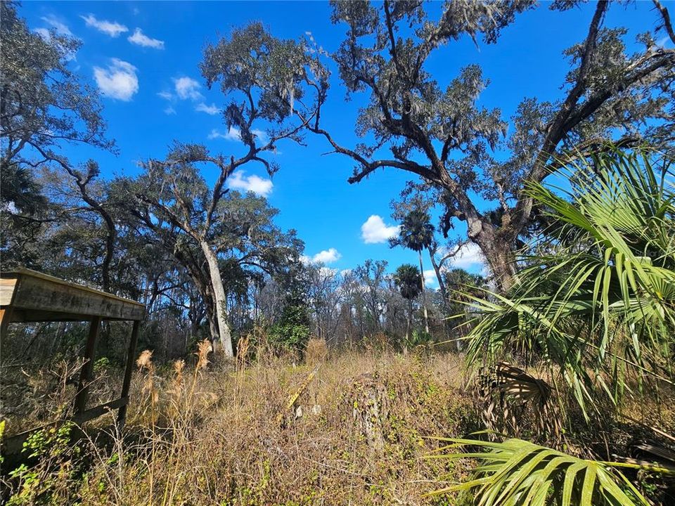 待售: $200,000 (14.10 acres)