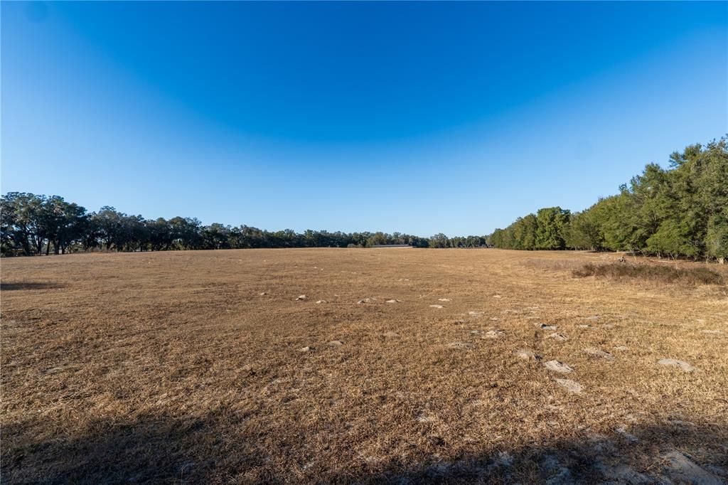 For Sale: $1,450,000 (50.42 acres)