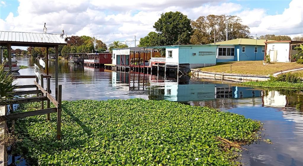 Active With Contract: $68,500 (0.25 acres)