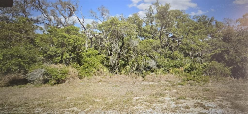 For Sale: $20,000 (0.17 acres)