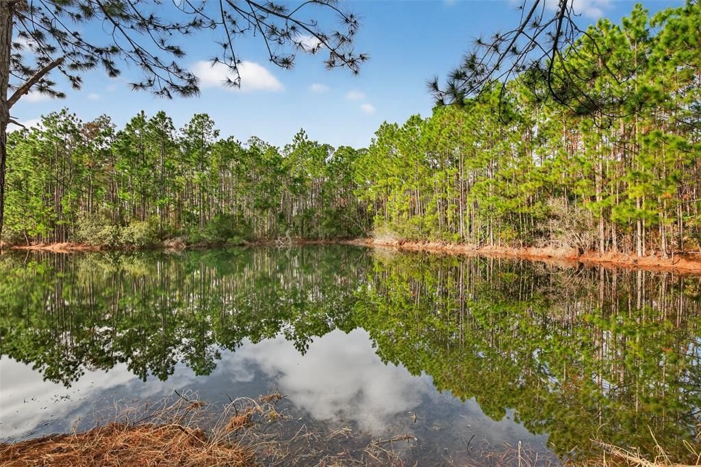 На продажу: $355,000 (3 спален, 3 ванн, 1765 Квадратных фут)