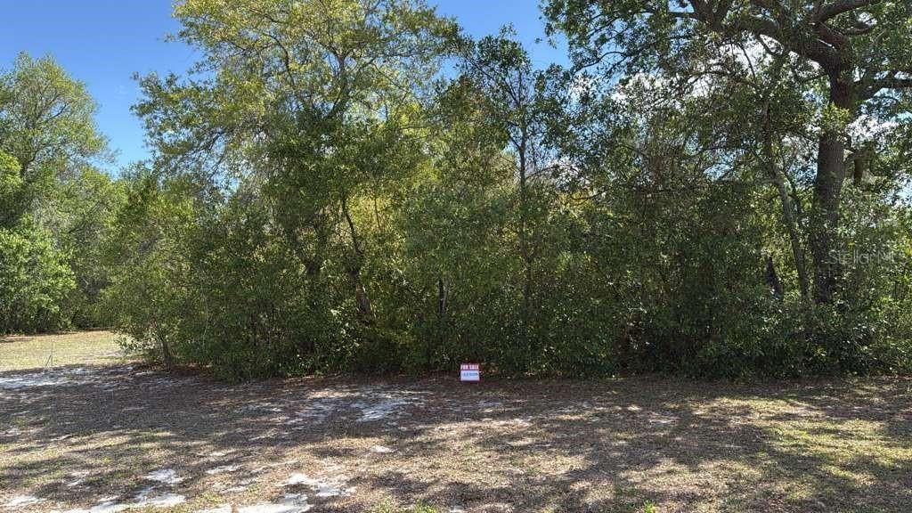 На продажу: $20,000 (0.21 acres)