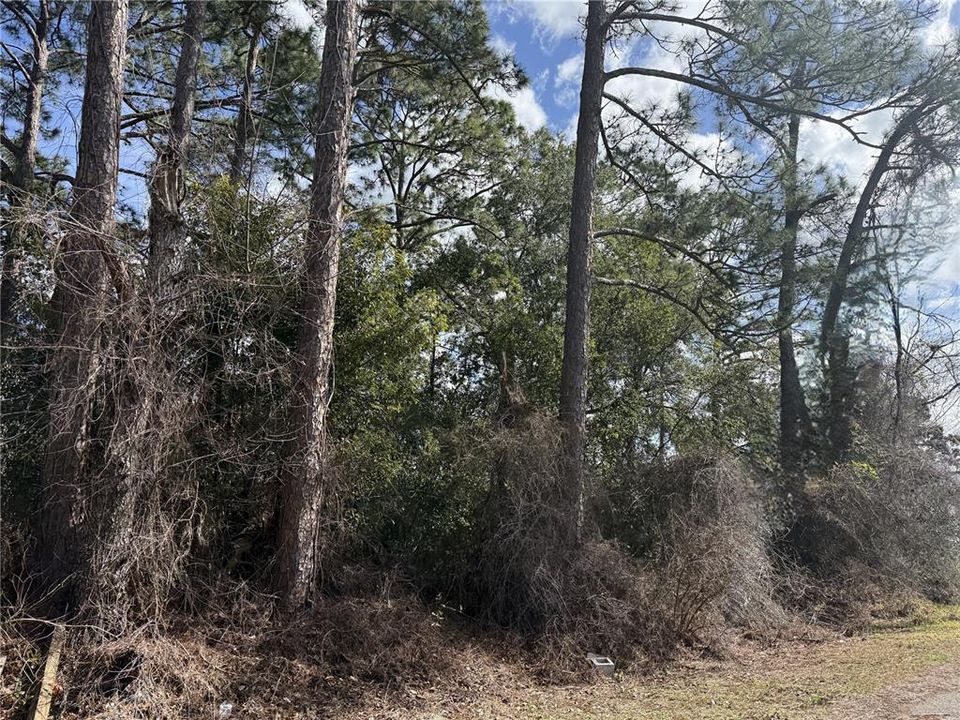 For Sale: $13,500 (0.17 acres)