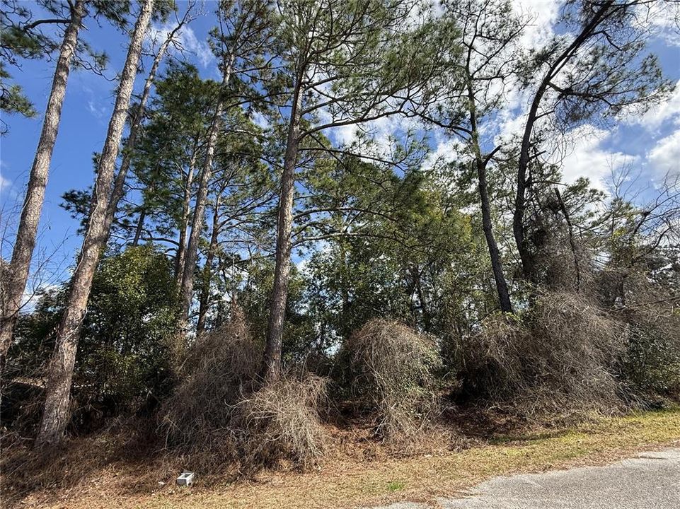 For Sale: $13,500 (0.17 acres)