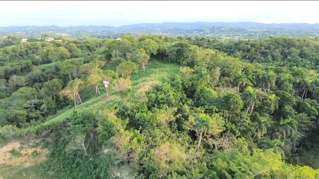 En Venta: $2,800,000 (10.68 acres)