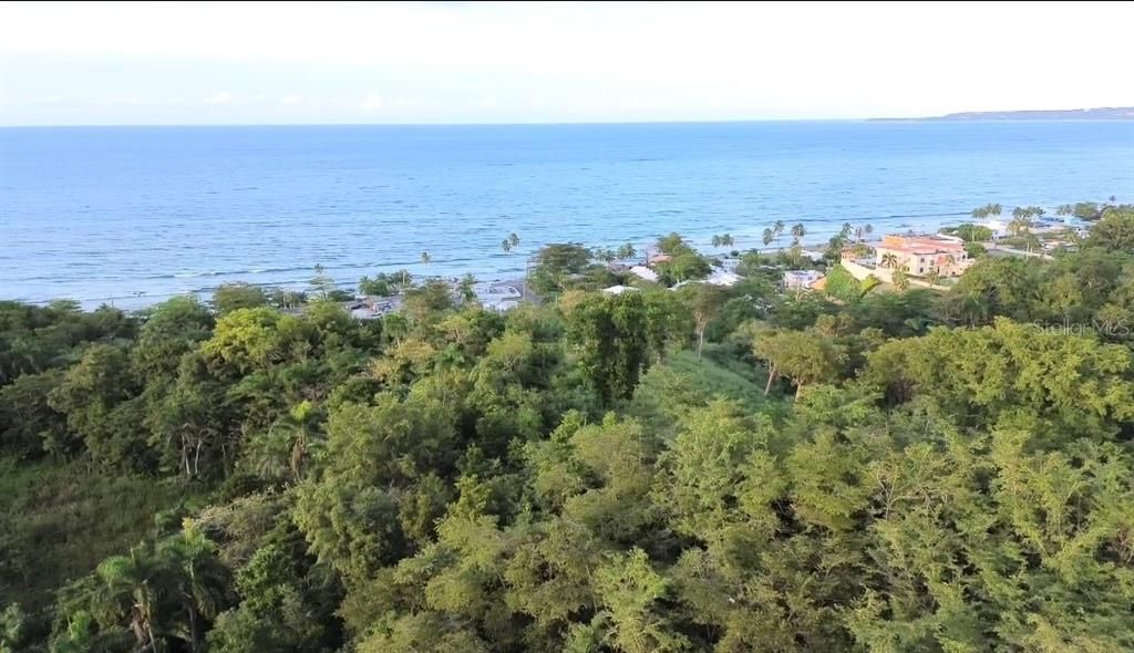 En Venta: $2,800,000 (10.68 acres)