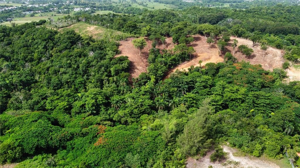 En Venta: $2,800,000 (10.68 acres)