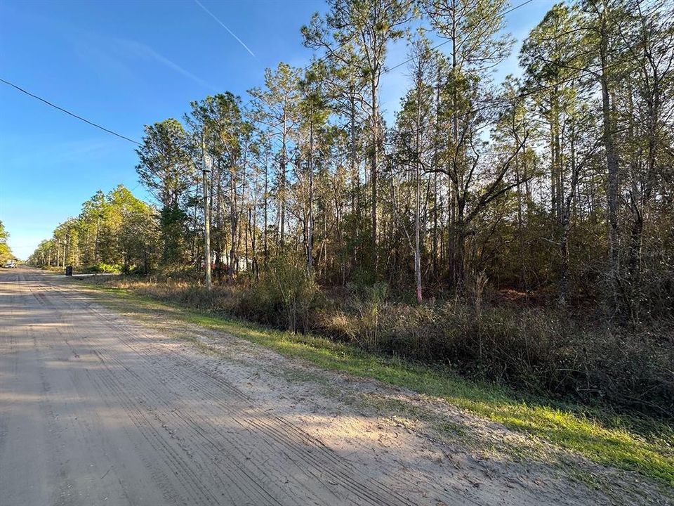 En Venta: $35,999 (1.33 acres)