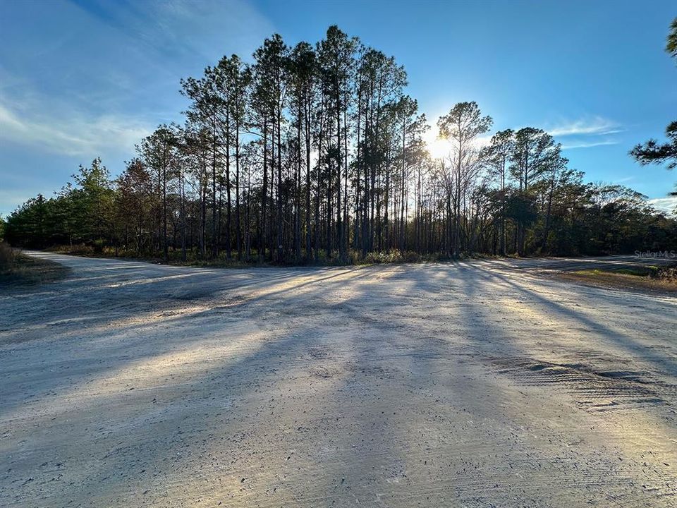 En Venta: $35,999 (1.33 acres)