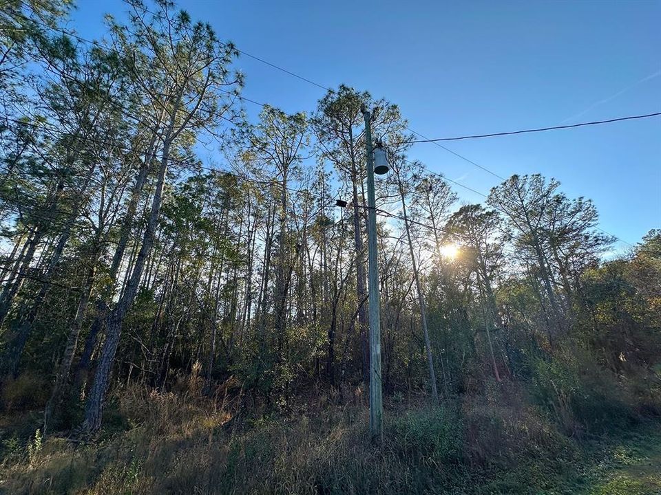 En Venta: $35,999 (1.33 acres)