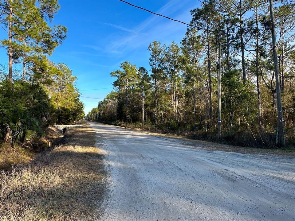 En Venta: $35,999 (1.33 acres)