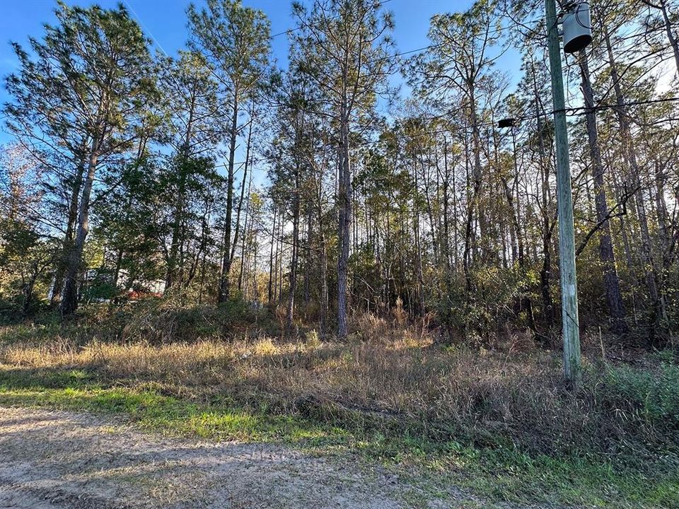 En Venta: $35,999 (1.33 acres)