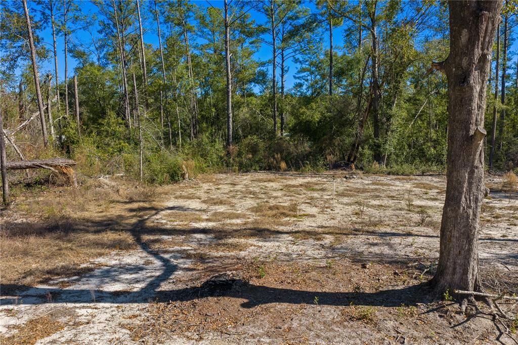 For Sale: $54,000 (1.84 acres)