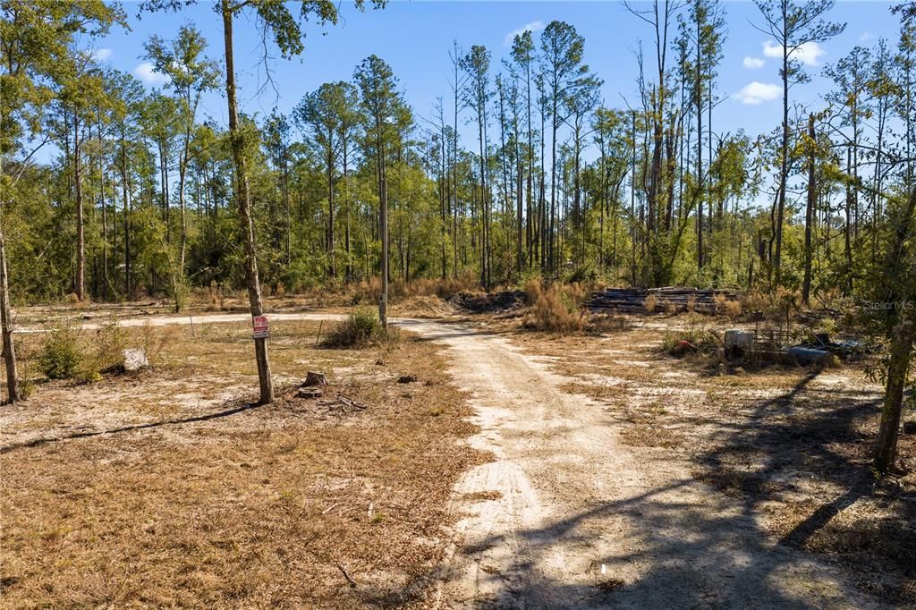 For Sale: $54,000 (1.84 acres)